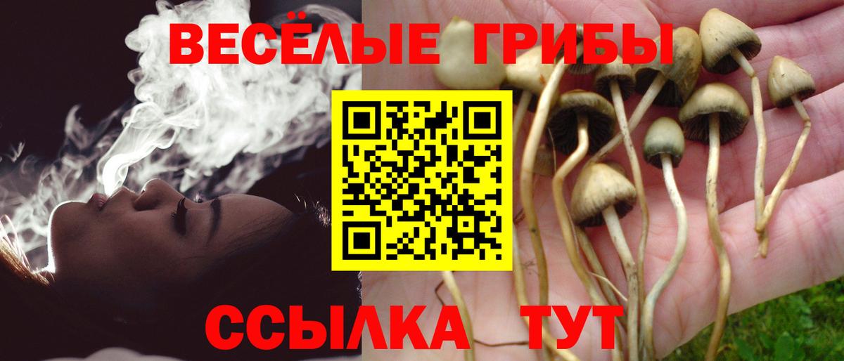 Коломна  Псилоцибиновые грибы мухоморы  Вход с VPN  Галлюциногенные грибы мицелий 